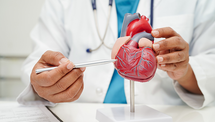 Insumed Ernährungskonzept bei Kardiologie